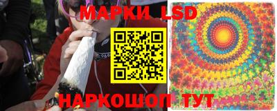 шишки Пугачёв