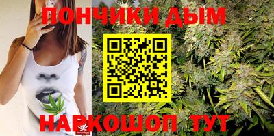 шишки Пугачёв
