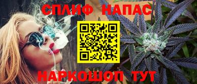 шишки Пугачёв