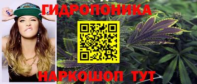 шишки Пугачёв