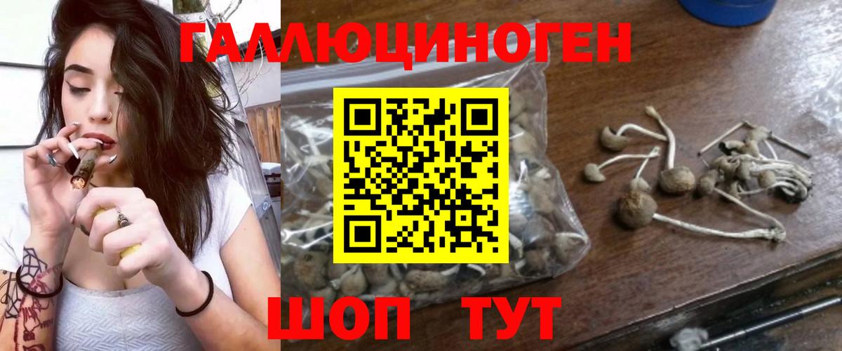 Галлюциногенные грибы GOLDEN TEACHER Славянск-на-Кубани